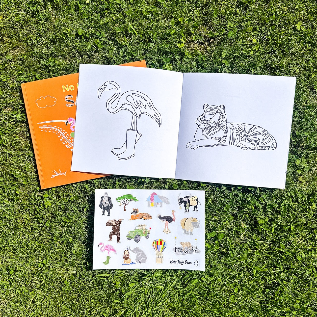 No Ordinary Safari Colouring & Story Book Sticker Set